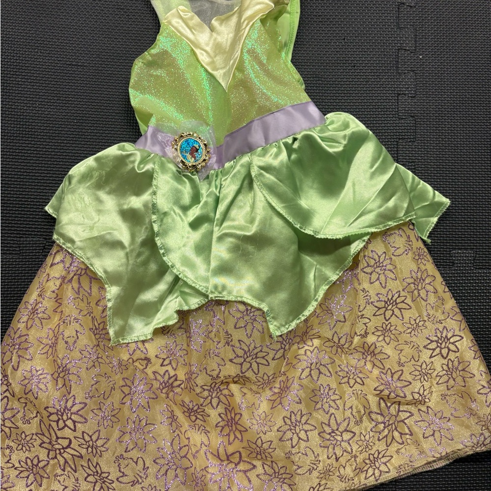 Disney Green and Gold Halloween Costume